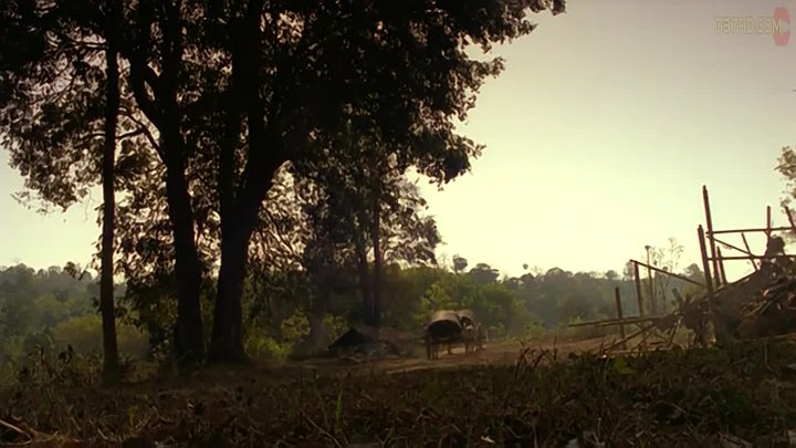 Tigress of King River 2002 Hindi-Thai 720p BluRay x264 