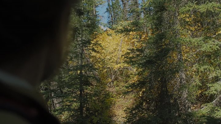 Dark Nature 2023 Hindi-English 1080p BluRay x264 