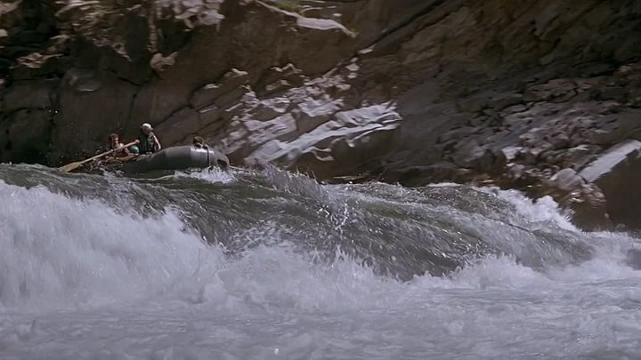 The River Wild 1994 Hindi-English 1080p BluRay x264 