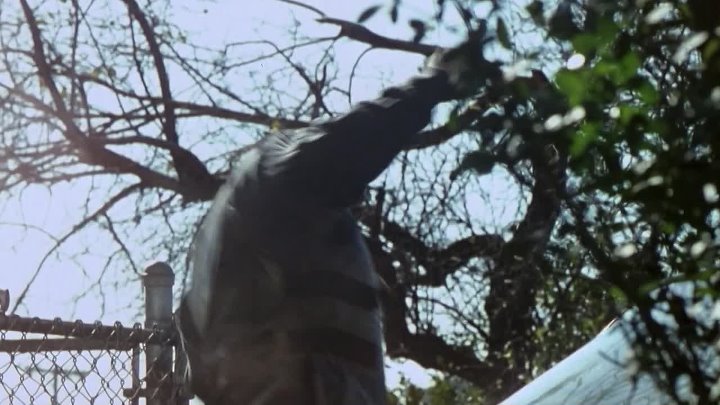 Shaft 2000 