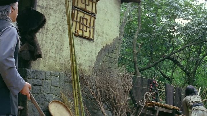 The Fearless Hyena 1979 