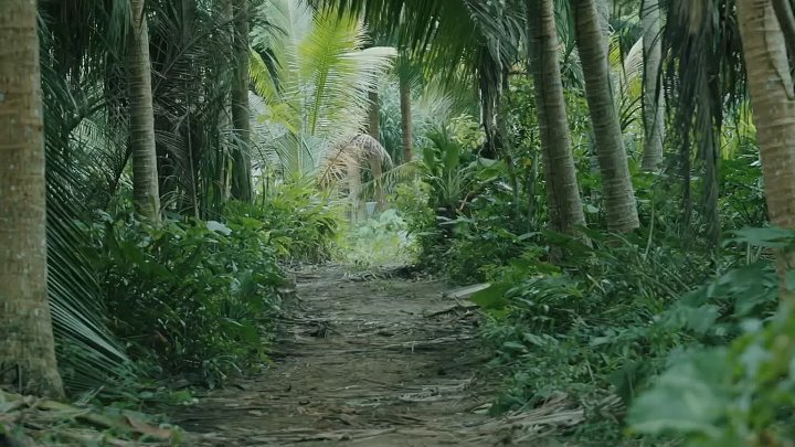 Land Shark 2020 Hindi-Chinese 1080p WEB-DL x264 