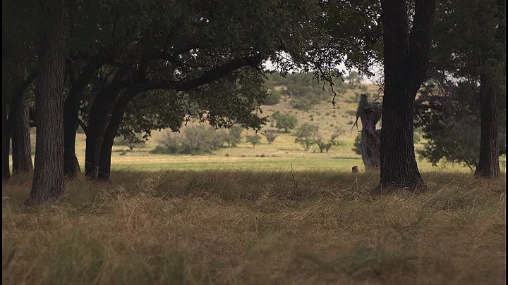 A Ghost Story 2017 