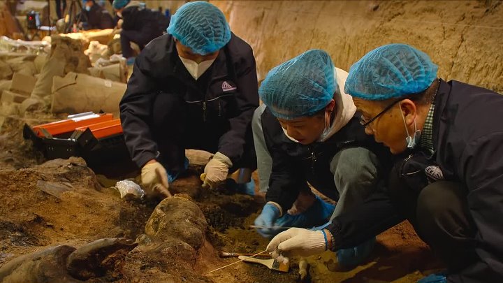 Mysteries of the Terracotta Warriors 2024 Hindi-English 1080p NF WEB-DL x264 