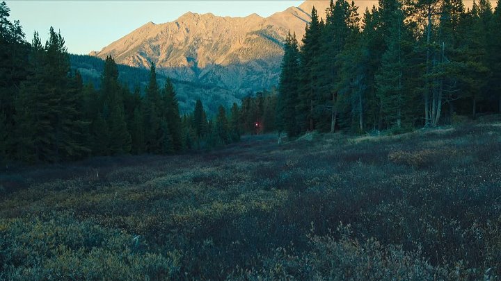 Elevation 2024 English With Subtitles 1080p WEB-DL x264 