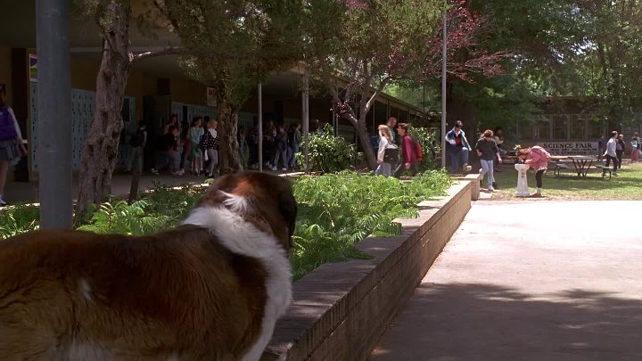 Beethoven 1992 Hindi-English 1080p BluRay x264 