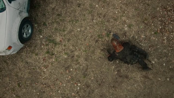In A Violent Nature 2024 English with Subtitles 1080p 