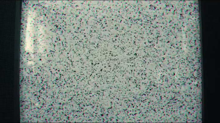 The Strays 2023 Hindi-English 1080p WEB-DL x264 