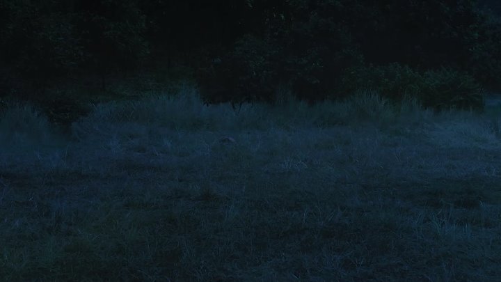 The Witch Part 1 2018 