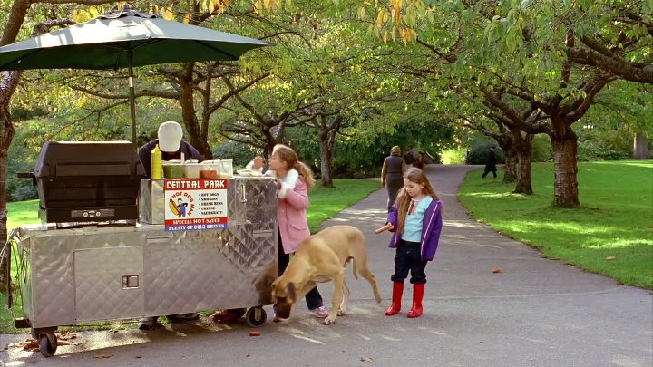 Chestnut Hero of Central Park 2004 Hindi-English 1080p WEB-DL x264 