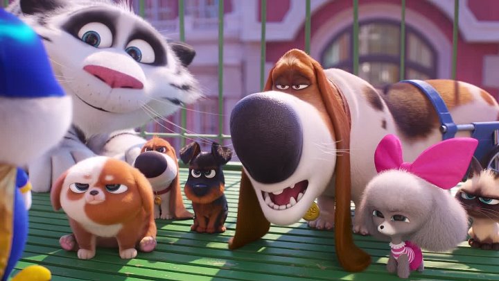 The Secret Life of Pets 2 2019 Hindi-English 1080p BluRay 