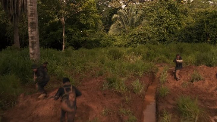 Ambush 2023 