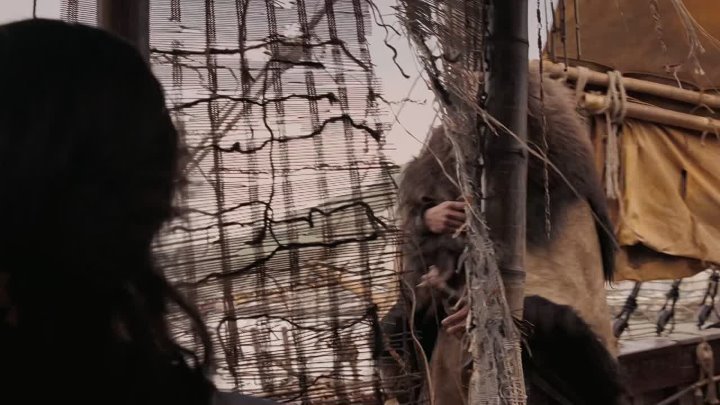 Conan the Barbarian 2011 
