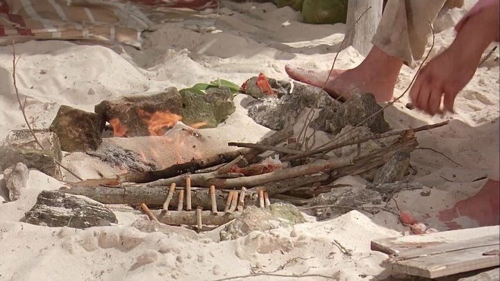Survival Island 2005 Hindi-English 1080p WEB-DL x264 