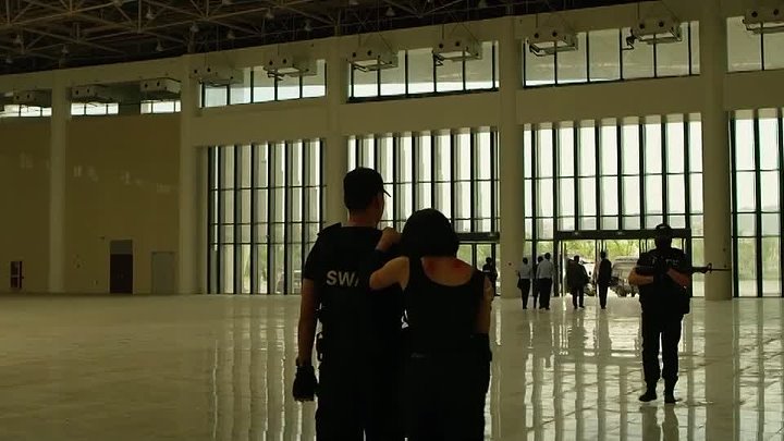 Vixen 2018 Hindi-Chinese 720p WEB-DL x264 