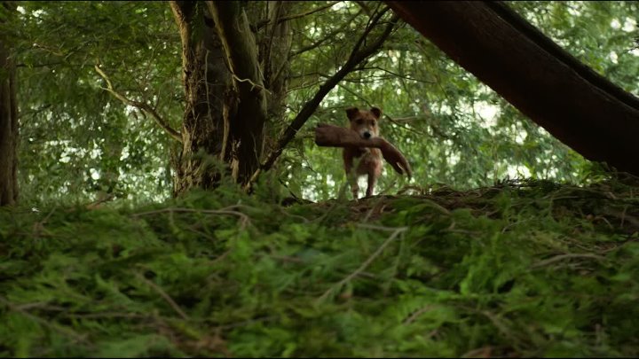 Slaughterhouse Rulez 2018 Hindi-English 1080p BluRay 
