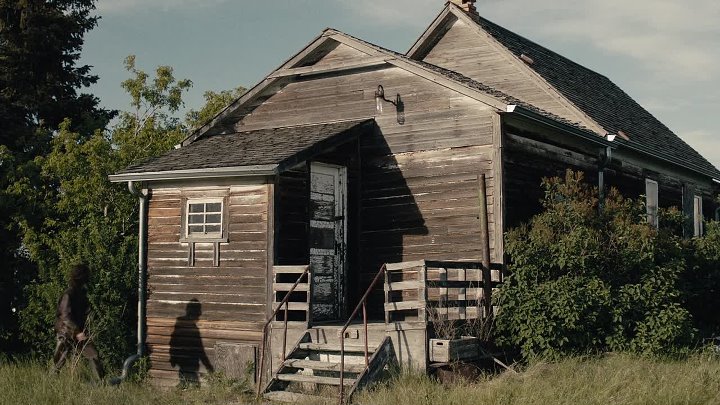 Stake Land 2  The Stakelander 2016 Hindi-English 1080p BluRay x264 