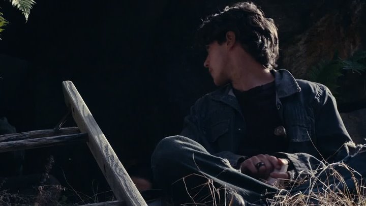 Stake Land 2010 Hindi-English 1080p BluRay x264 