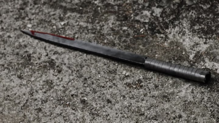 Tigers Trigger 2022 Hindi-Korean 1080p AMZN WEB-DL x264 