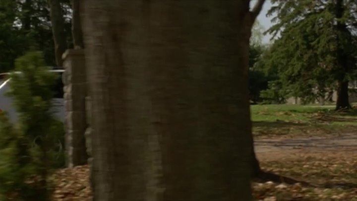 Avenging Angelo 2002 