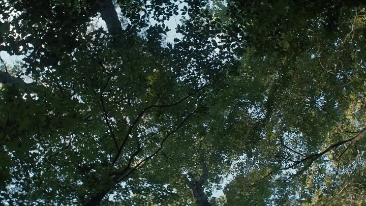 Fear Street Part 3  1666 2021 Hindi-English 1080p BluRay 