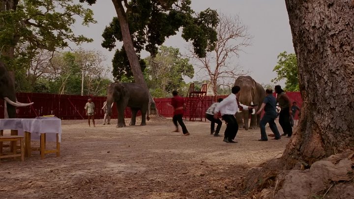 The Protector 2005 Hindi-English 1080p BluRay 