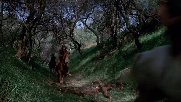 Sorceress 1982 Hindi-English 1080p BluRay x264 