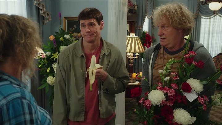 Download Dumb and Dumber To 2014 Hindi-English 1080p 