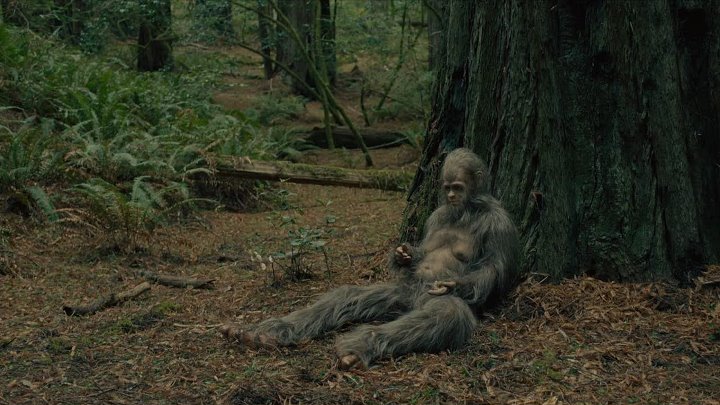 Sasquatch Sunset 2024 English Audio 1080p 