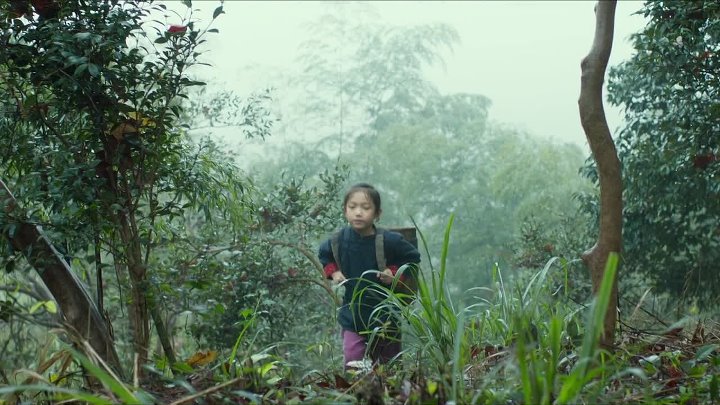 The Chinese Widow 2017 