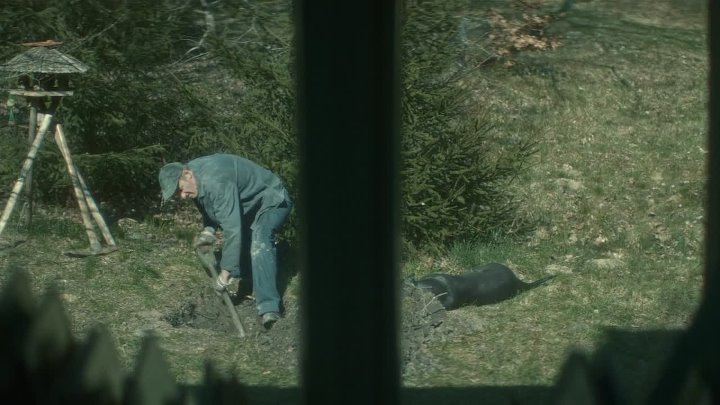 The Silent Forest 2022 Hindi-German 1080p BluRay x264 