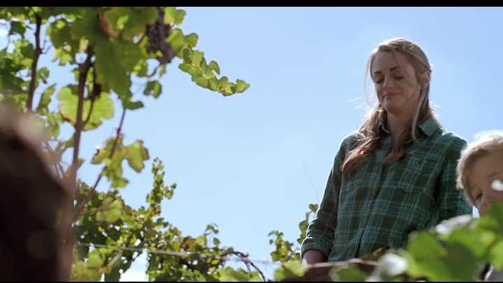 The Song 2014 Hindi-English 1080p BluRay x264 