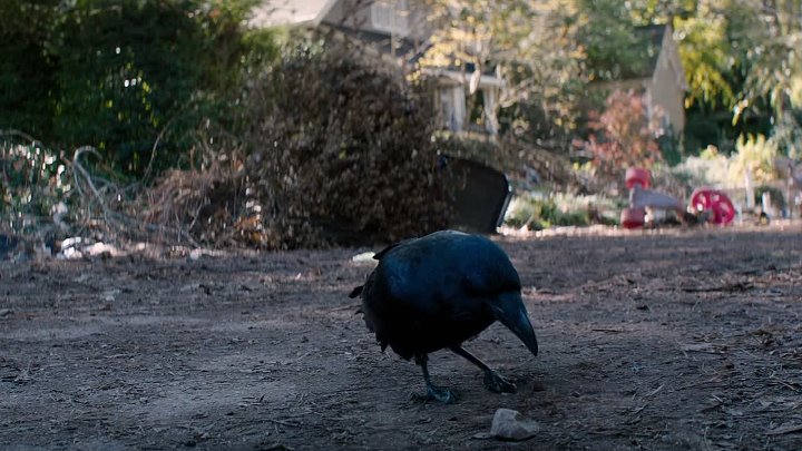 The 5th Wave 2016 Hindi-English 1080p BluRay 