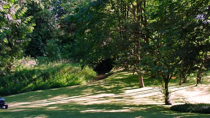 The Intruder 2019 Hindi-English 1080p BluRay 