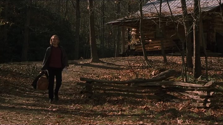 Cabin Fever 2003 Hindi-English 1080p 