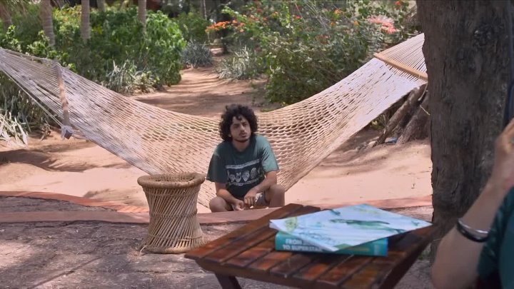 Kaasav Turtle 2017 Hindi Dubbed 1080p HDRip 