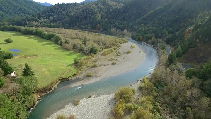 Red Handed 2019 Hindi-English 1080p 