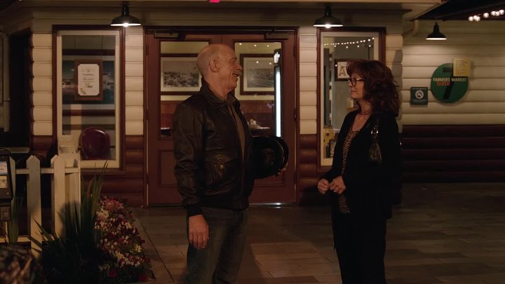 The Meddler 2015 