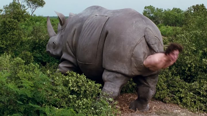 Ace Ventura When Nature Calls 1995 