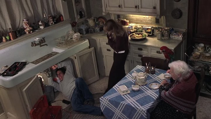 Duplex 2003 