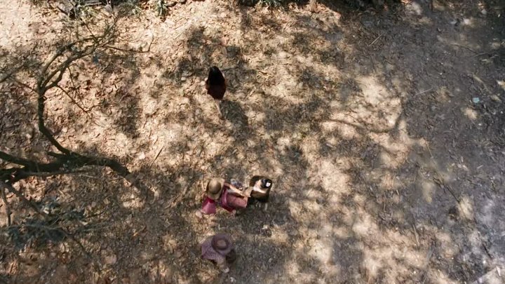 Dynamite Warrior 2006 Hindi-English 1080p BluRay 