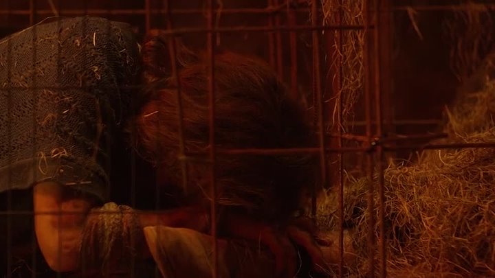 Escape from Cannibal Farm 2017 Hindi-English 720p WEB-DL x264 