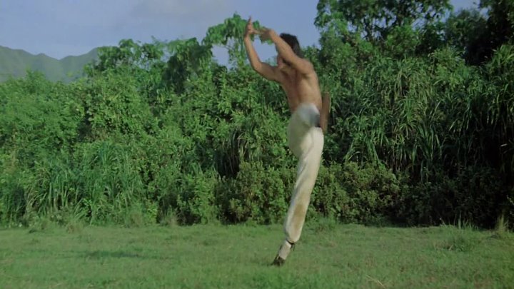 Drunken Master 1978 Hindi-English 1080p BluRay x264 