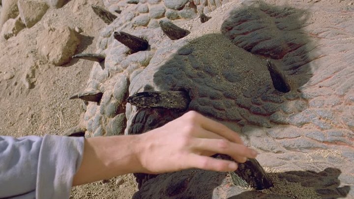 Tremors 1990 Hindi-English 1080p BluRay 