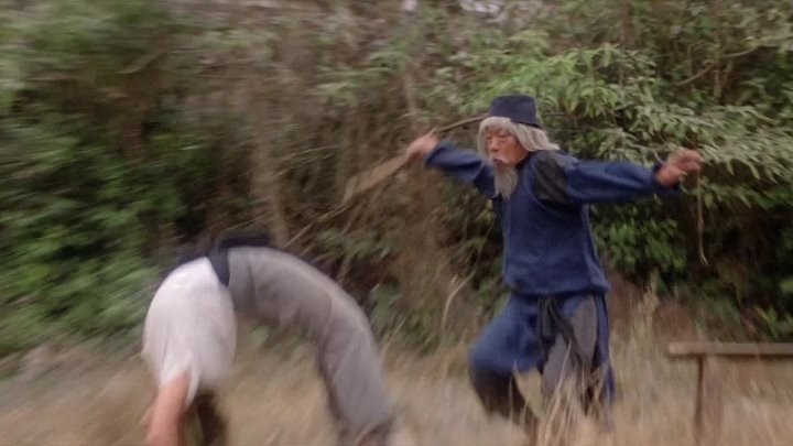 Snake in the Eagles Shadow 1978 Hindi-Chinese 1080p BluRay 