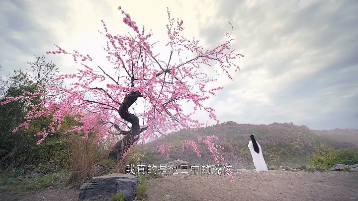 Peach Blossom Origin 2022 Hindi-Chinese 1080p WEB-DL x264 